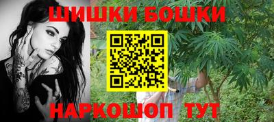 спиды Новодвинск
