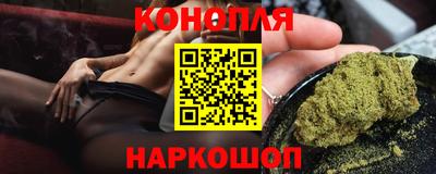 спиды Новодвинск