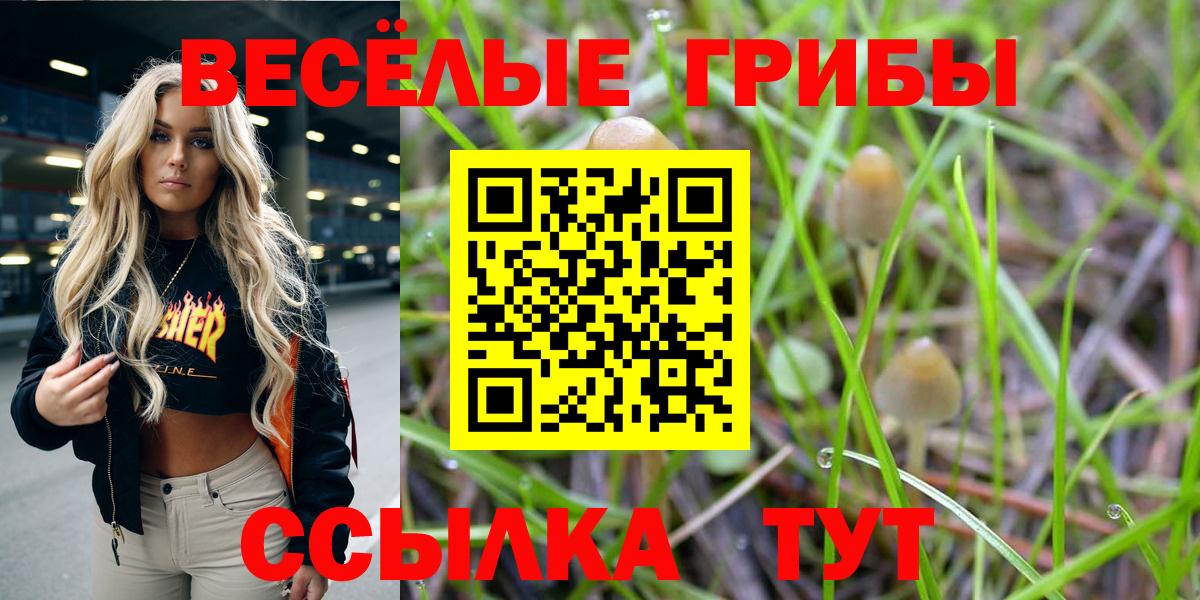 Балашиха  Галлюциногенные грибы Psilocybine cubensis  Вход с VPN 