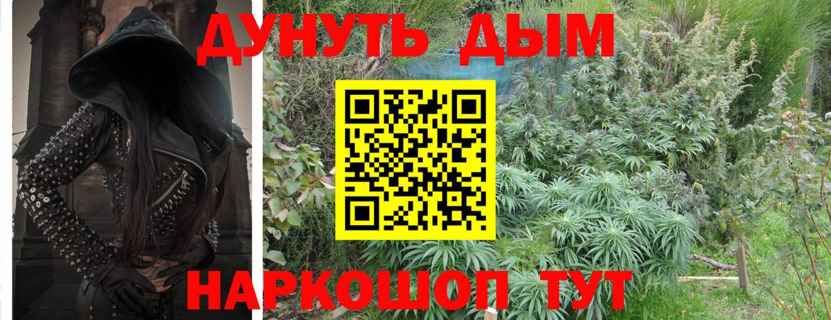 Конопля White Widow  Конопля семена  Балашиха  Вход с VPN  Марихуана SATIVA & INDICA  МАРИХУАНА тримм 
